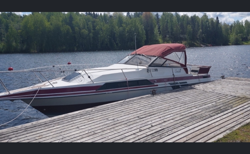 Regal 255XL AMASSADOR-kuva-8